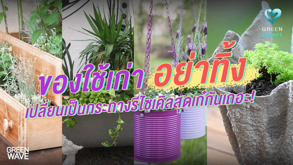 ของใช้เก่า อย่าทิ้ง เปลี่ยนเป็นกระถางรีไซเคิลสุดเก๋กันเถอะ!