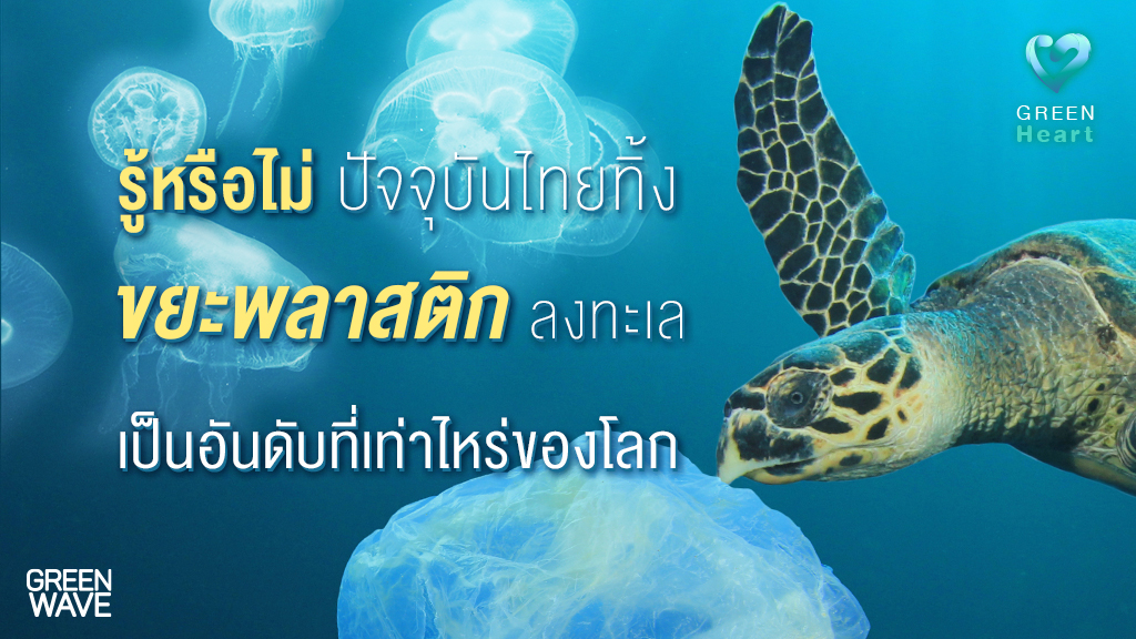 รู้หรือไม่... ปัจจุบันไทยทิ้ง “ขยะพลาสติก” ลงทะเล เป็นอันดับเท่าไหร่ของโลก?