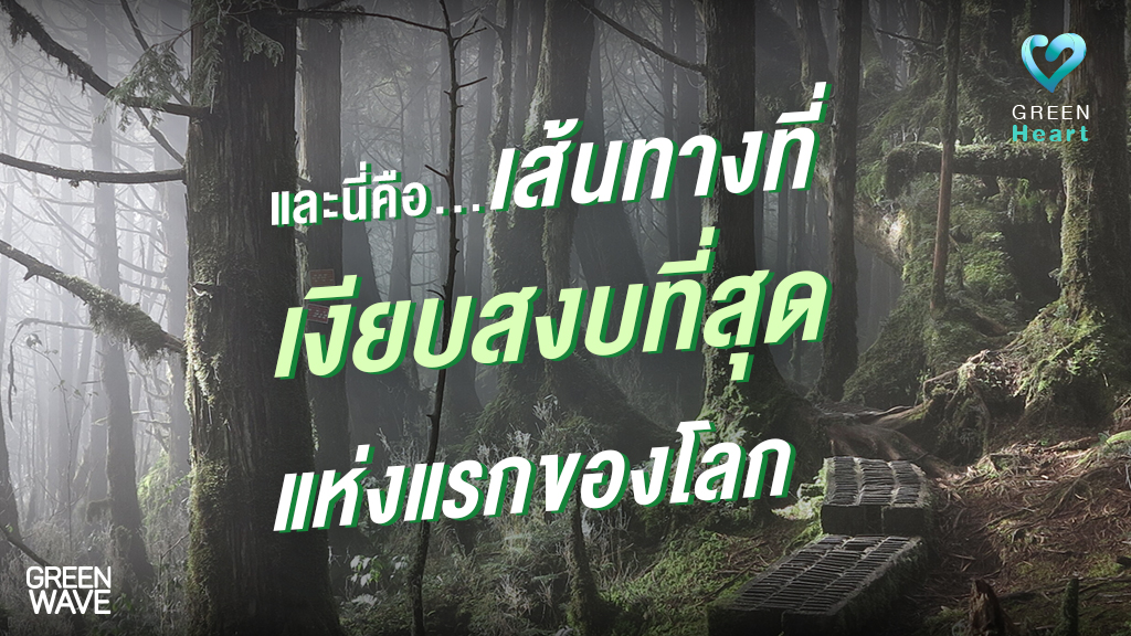 และนี่คือ…เส้นทางที่เงียบสงบที่สุด แห่งแรกของโลก!