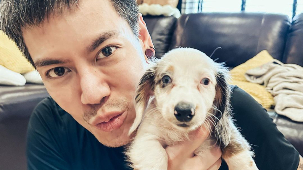 โซเชียลให้กำลังใจ อ๊อฟ ปองศักดิ์ หลังทราบว่าลูกสุนัขตัวใหม่พกพร่องทางการได้ยิน เนื่องจากฟาร์มผสมพันธุ์แบบ Double Dapple