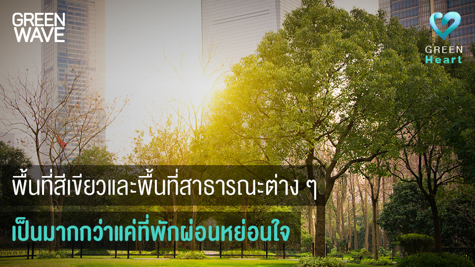 พื้นที่สีเขียวและพื้นที่สาธารณะต่าง ๆ เป็นมากกว่าแค่ที่พักผ่อนหย่อนใจ