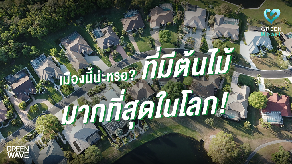 เมืองนี้น่ะหรอ? ที่มีต้นไม้มากที่สุดในโลก!